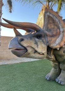 triceratops dinosaur costume party hire california