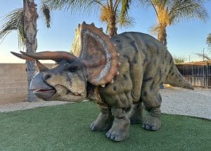 triceratops dinosaur costume party hire california