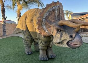 triceratops dinosaur costume party hire california